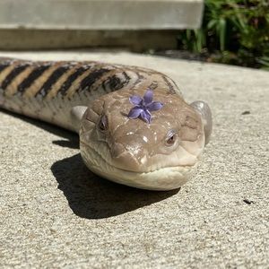 Meet your Posher, Brianna